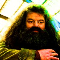 Hagrid Rubeus Hagrid Icon 45042957 Fanpop