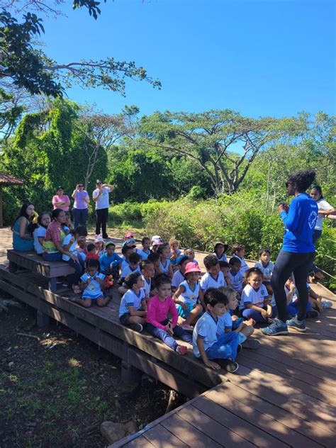 Semana Do Meio Ambiente Projeto Golfinho Rotador