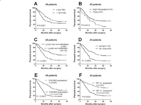 Kaplan Meier Survival Analysis Of The Nsclc Patients The P Value Was Download Scientific