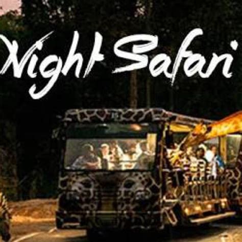 Night Safari Tickets And Vouchers Local Attractions And Transport On