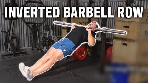 The Inverted Barbell Row Progression Youtube