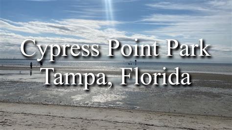 Cypress Point Park Tampa Florida YouTube