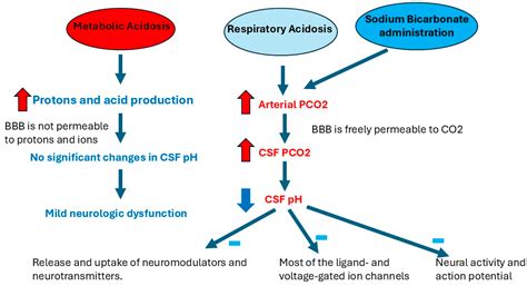 Complexities, Benefits, Risks, and Clinical Implications of Sodium