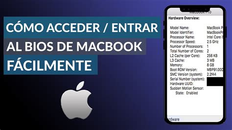 Cómo Acceder O Entrar Al Bios De Un Macbook Fácilmente Youtube