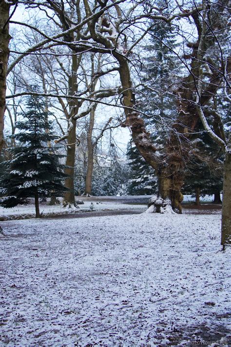 Image of Roath Park & Lake by Zainab Dhalech | 1017839