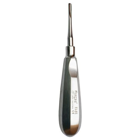 Mm Root Elevator Straight Dental Instruments Online Store