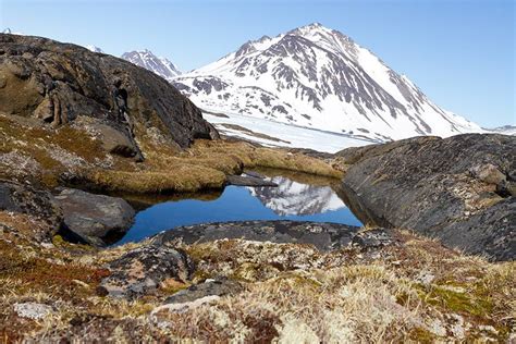 Fósiles de Groenlandia revelan un peligroso futuro en la Tierra