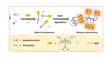 A Luminescence Turn On Assay For Acetylcholinesterase Activity And