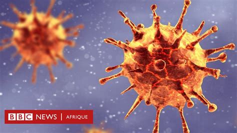 Variante Du Coronavirus En Afrique Du Sud Quels Sont Les Risques