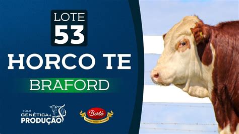 Lote 53 Horco TE TOURO BRAFORD 5º Leilão Genética e Produção