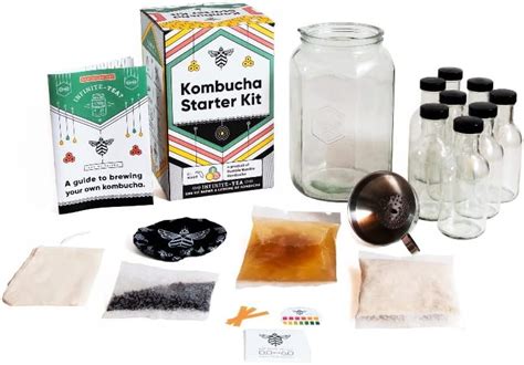 Amazon Kombucha Starter Kit Organic Kombucha SCOBY Strong