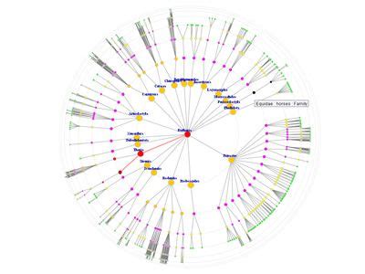 D3 radial bar chart - TeresaDerek