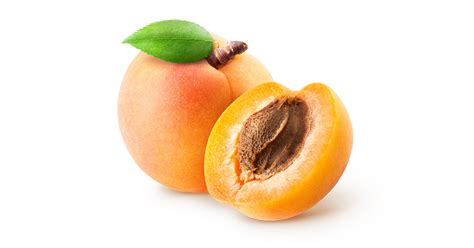 Apricot Calories And Nutritional Composition Aprifel