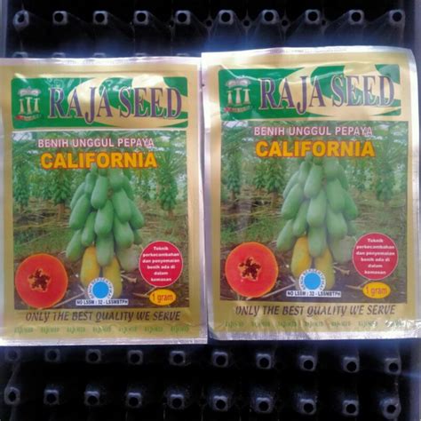 Jual Benih Unggul Pepaya California Kates California Raja Seed 1 Gram