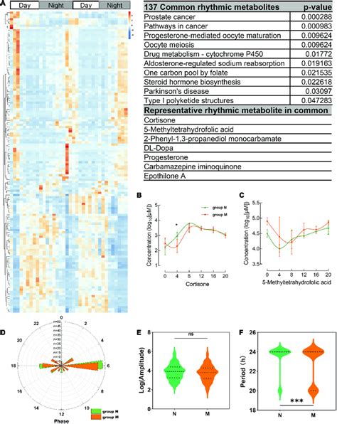 Common Shared Rhythmic Metabolites In Group N And Group M Were