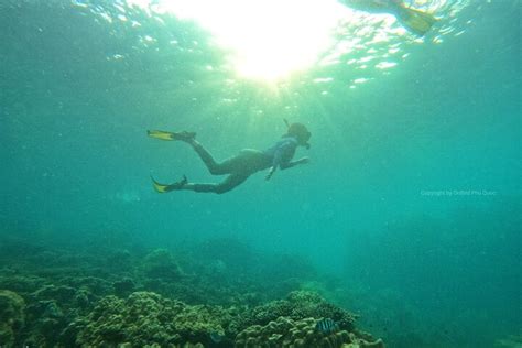 Onbird Private Adventure Snorkeling Explore Half Moon Reef