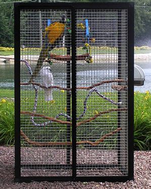 Pet Birds Cages