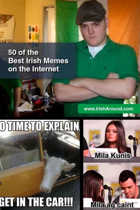 50 Best Irish Memes - Irish Around The World