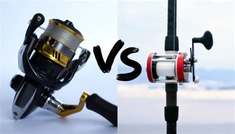 Spinning Reel Vs Conventional Reel Which Is Better For Fishing