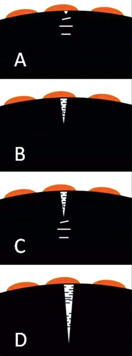 Plastic Failure Through Environmental Stress Cracking