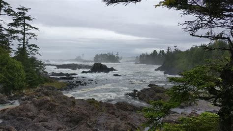 Pacific Rim National Park, Wild Pacific Trail [4640x2610] [OC] : r ...