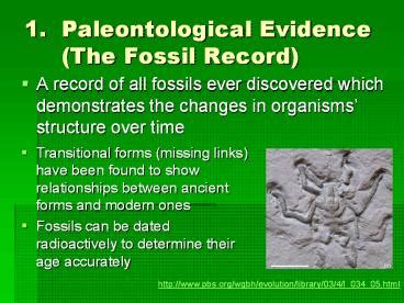 Fossil Record Evidence For Evolution