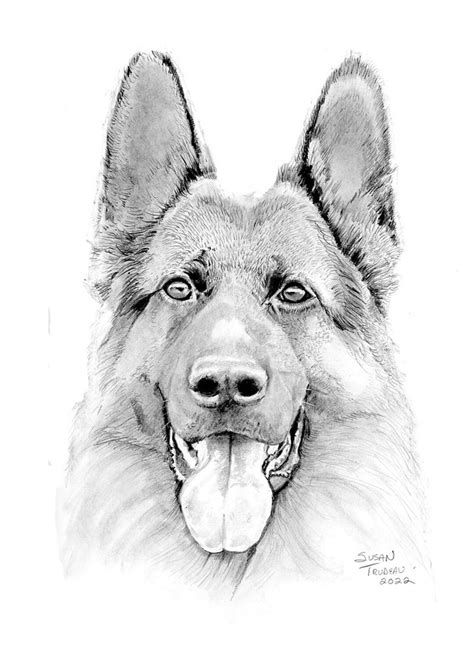 Dog Drawing Realistic-dog Face Realistic Portrait Sketch-graphite ...