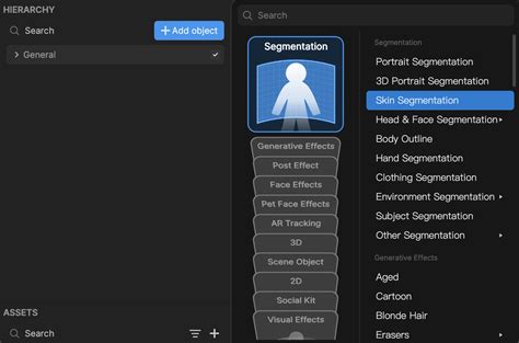 Skin Segmentation Learn Tiktok Effect House