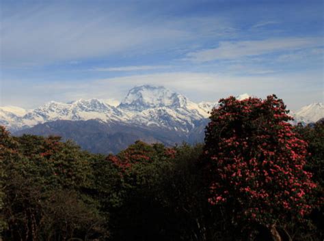 Ghorepani Poon Hill Trek 5 Days KTM Guide