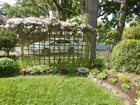 Building A Privacy Trellis | Garden Variety Life