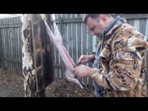 Забой кролика 18+ - YouTube