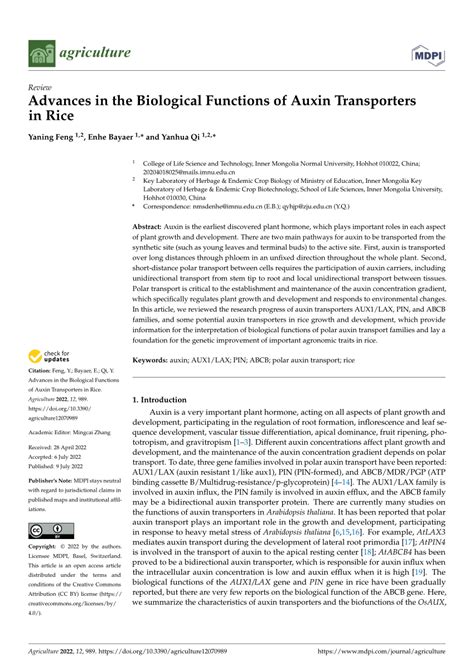 Pdf Advances In The Biological Functions Of Auxin Transporters In Rice