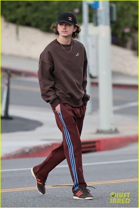 Timothee Chalamet Looks Effortlessly Cool During Outing as 'Wonka ...