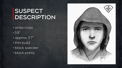 Opp Composite Sketch Of Sexual Assault Suspect Released Ctv News