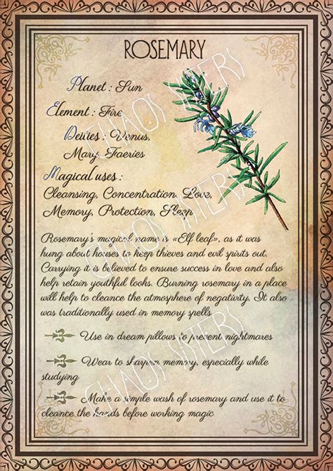 Printable Herbs Book Of Shadows Pages Set 1 Herbs And Plants Etsy