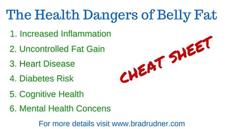 Dangerous Belly Fat What You Need To Know And How To Deal With It