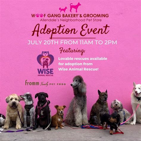 Come Join Us For Our Summer Adoption Event Saturday July 20th From 11