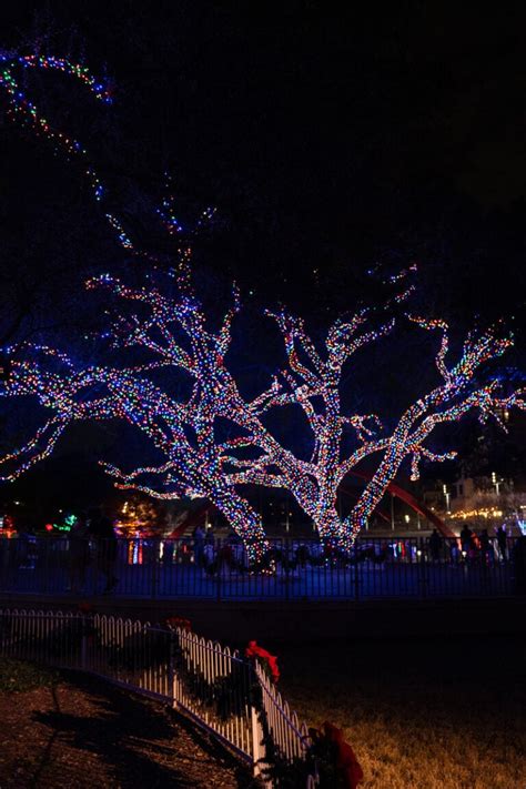 Best Christmas Lights in Dallas - My Curly Adventures