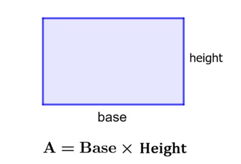 Area of a Rectangle - Formulas and Examples - Neurochispas