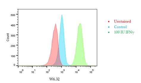 Interferon Gamma Ifnγ Treatment Induces Hla Class I Expression