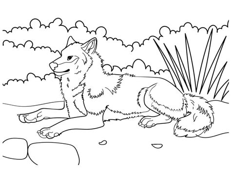 Desenhos De Um Lobo Na Floresta Para Colorir E Imprimir Colorironline