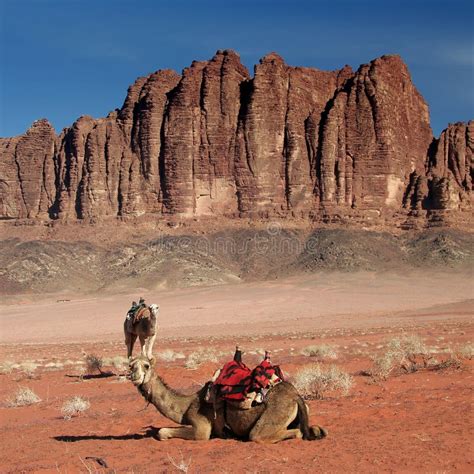 Wadi Rum Desert Stock Photo Image Of Desert Destination 22350814