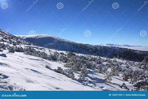 Rila Mountains In Borovets Bulgaria Stock Image Image Of Silence