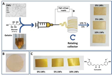 GelatinLysozyme Nanofibrils Electrospun Patches With Improved