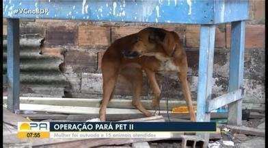 Bom Dia Par Pol Cia Civil Apura Den Ncias De Maus Tratos A Animais