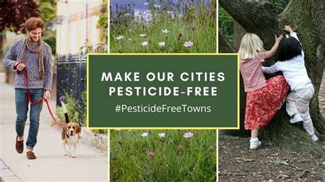 Alternatives to herbicides – a new guide - Pesticide Action Network UK