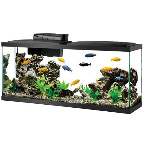 Aqueon Gallon Led Aquarium Kit Petco