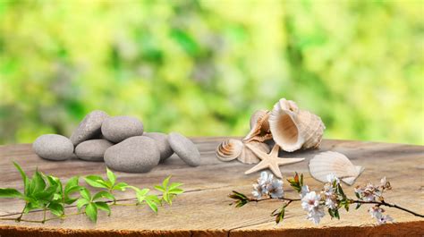 Nature Table Magic: Sparking Joy and Discovery in Montessori