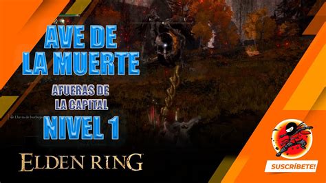 Elden Ring Nivel 1 Ave De La Muerte Afueras De La Capital YouTube