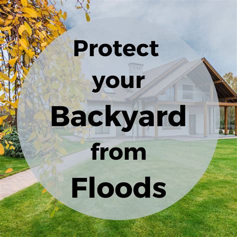 Protect Your Backyard From Flooding With These Tips